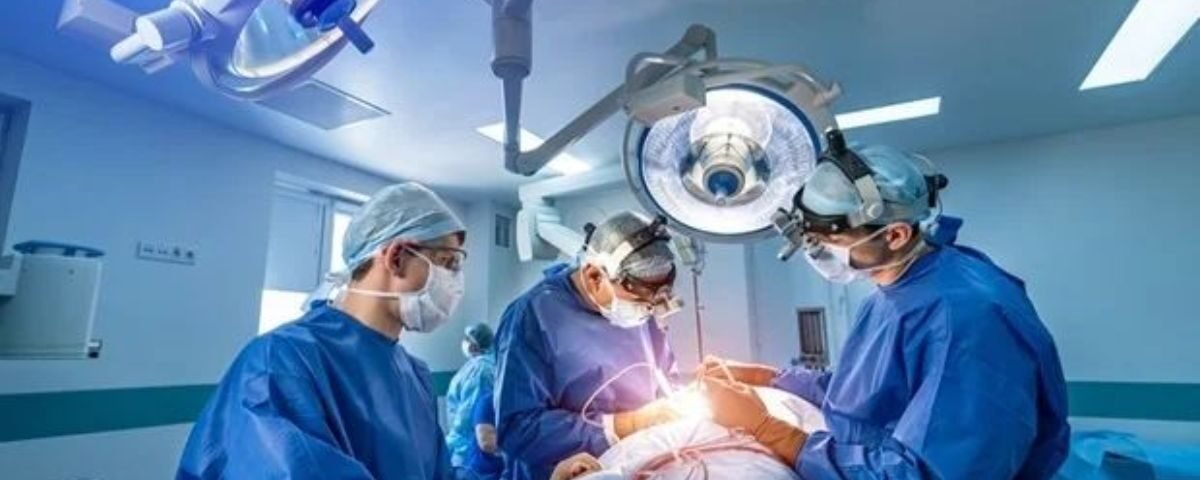 IVF treatment process