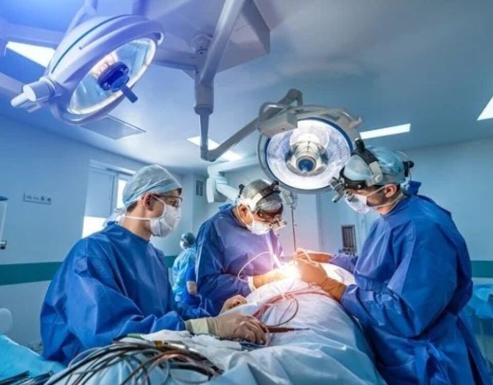 IVF treatment process
